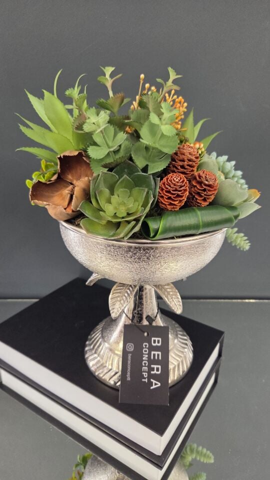 Bera Gümüş Palmiye Sukulent Aranjman