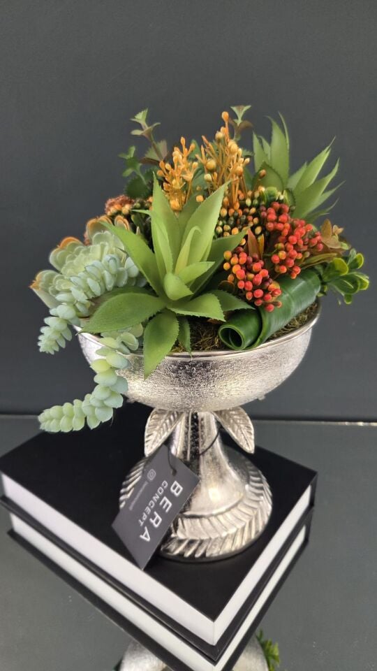 Bera Gümüş Palmiye Sukulent Aranjman