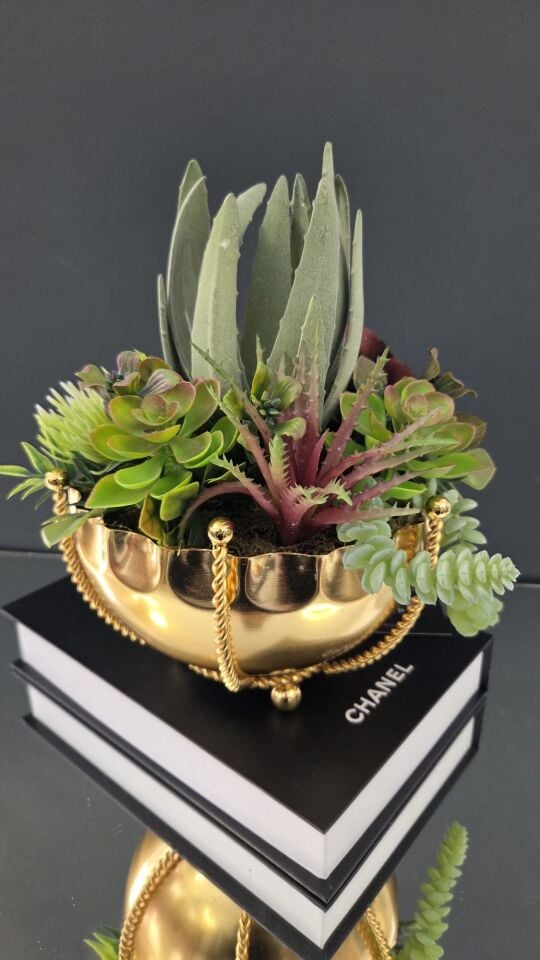 Bera Gold Halat Detaylı Saksı Sukulent Aranjman