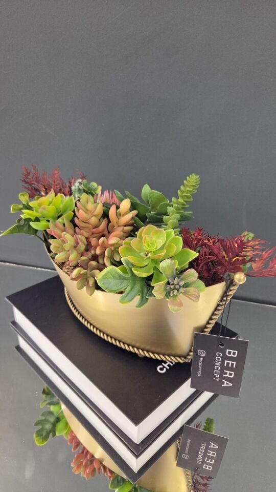 Bera Eskitme Gondol Saksı Sukulent Aranjman