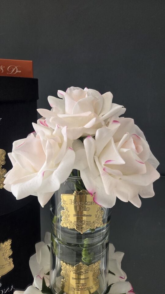 Harmony & Deo Islak Gül Oda Kokusu Allıklı 5 Güllü Kutulu Parfümlü