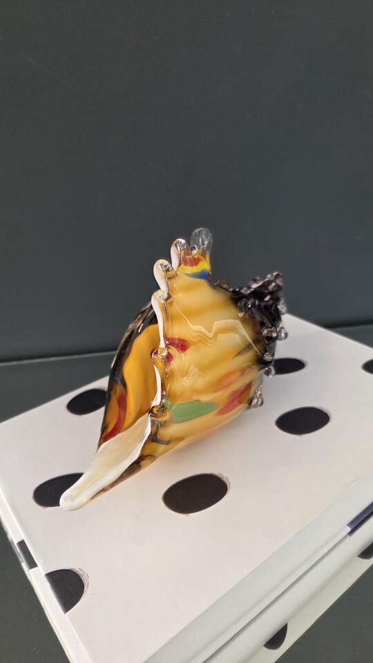 Bera İthal Cam Deniz Kabuğu