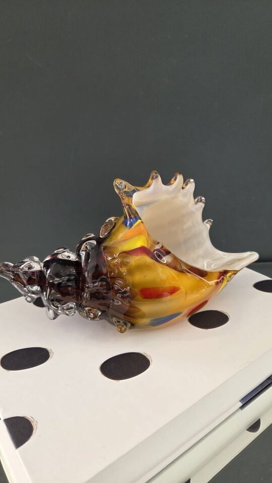 Bera İthal Cam Deniz Kabuğu