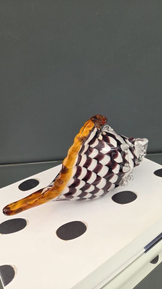 Bera İthal Cam Deniz Kabuğu