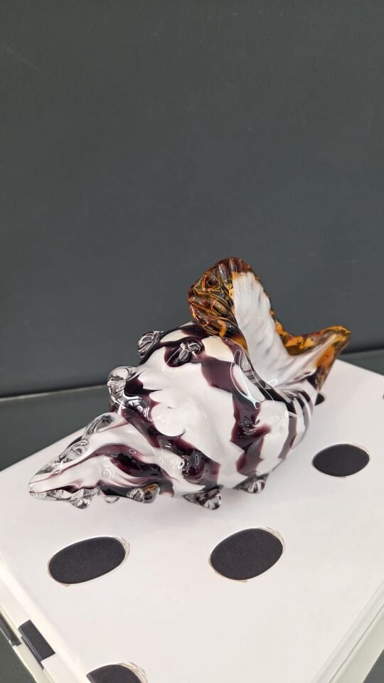 Bera İthal Cam Deniz Kabuğu