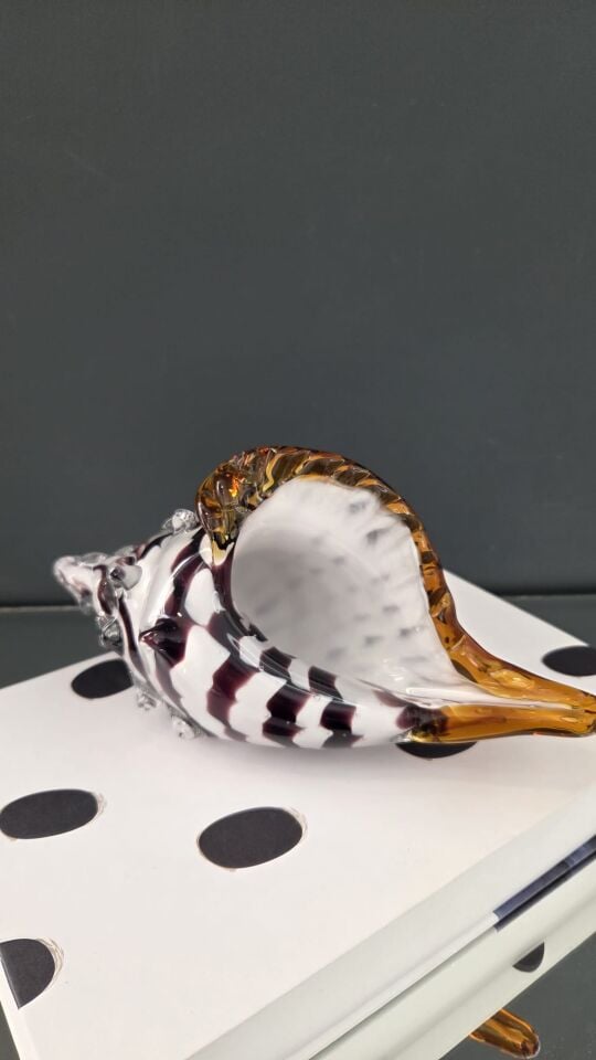 Bera İthal Cam Deniz Kabuğu