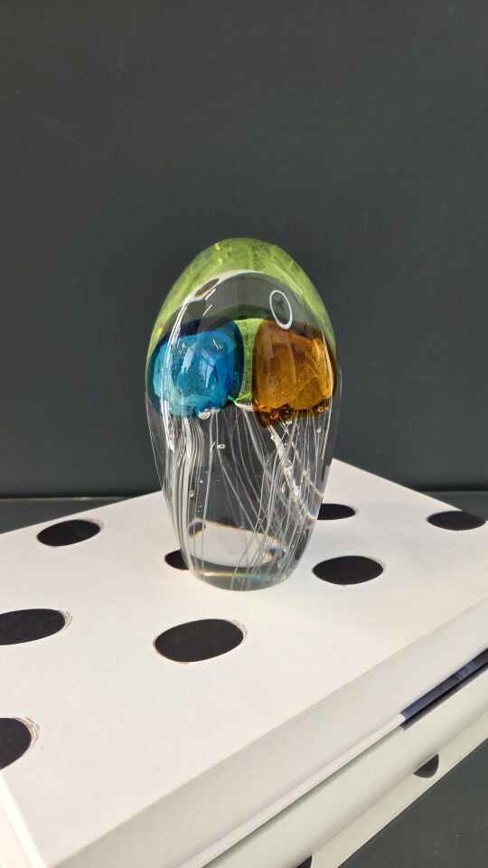 Bera İthal Cam Fosforlu Deniz Anası