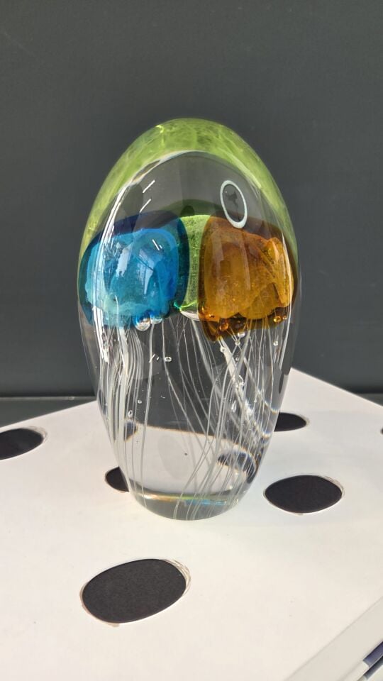 Bera İthal Cam Fosforlu Deniz Anası