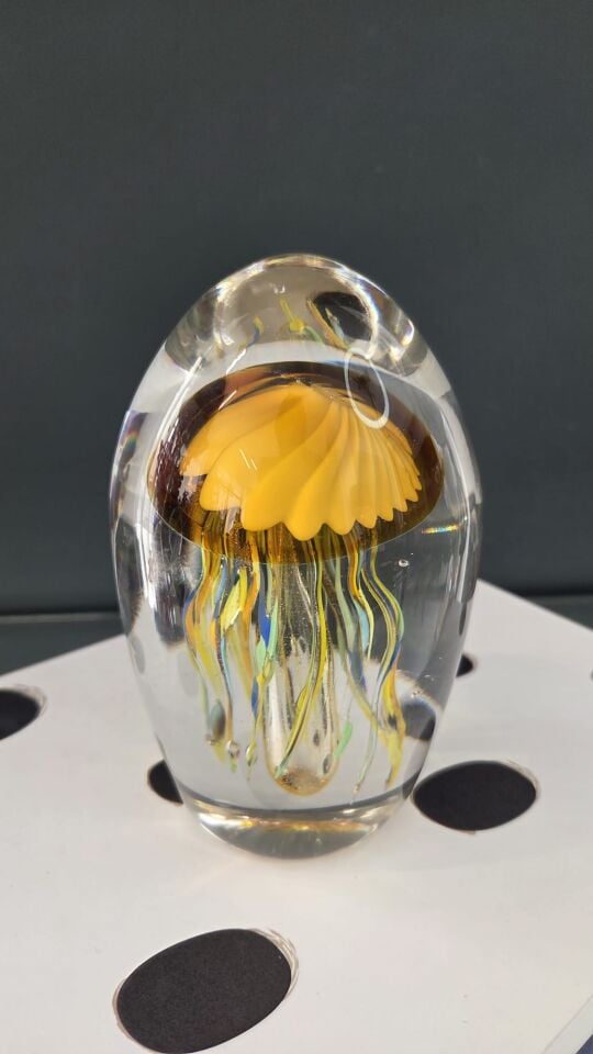 Bera İthal Cam Fosfolu Deniz Anası