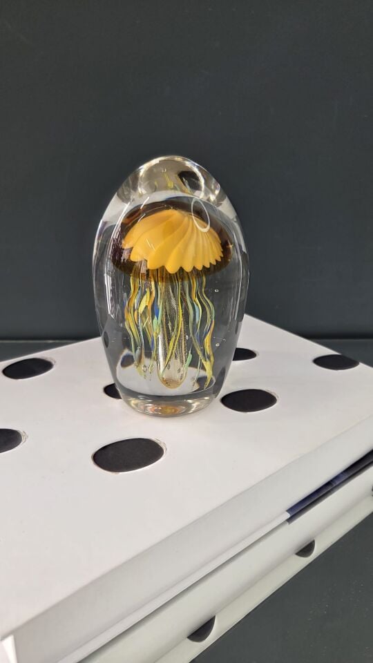 Bera İthal Cam Fosfolu Deniz Anası