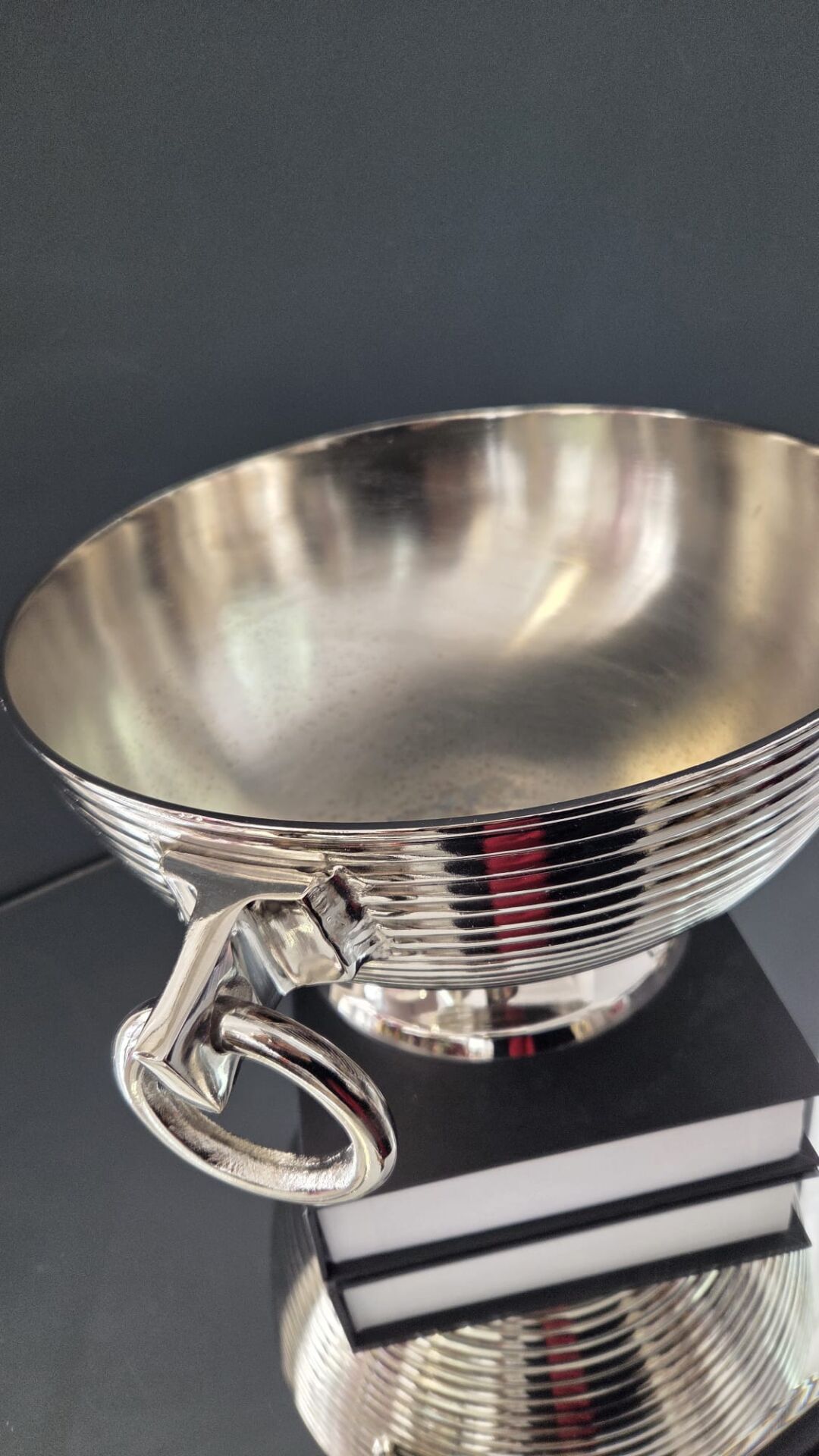 Bera İthal Halkalı Saksı GÜMÜŞ