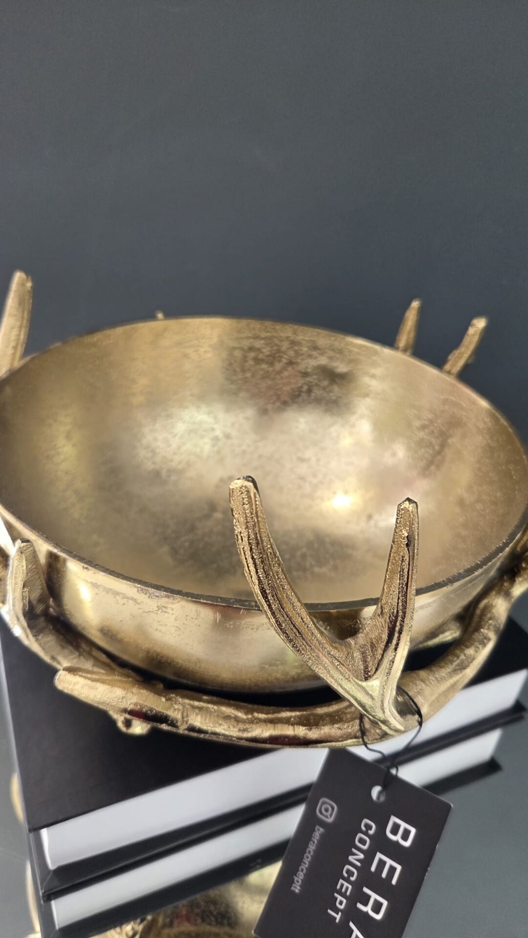 Bera İthal Büyük Boynuz Saksı Gold