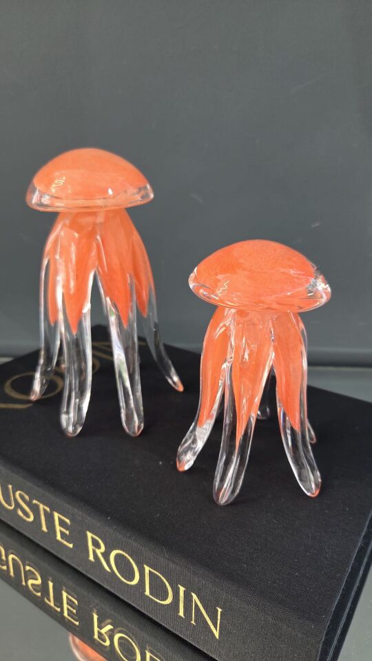 Bera Cam 2li Ahtapot Set Turuncu