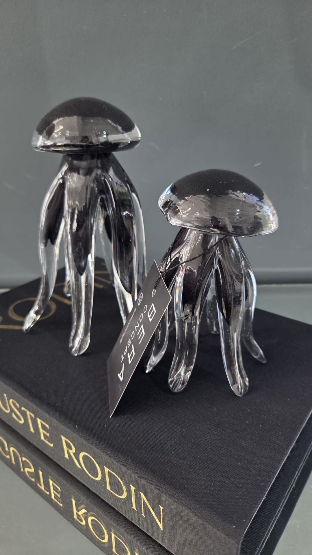 Bera Cam 2li Ahtapot Set Siyah