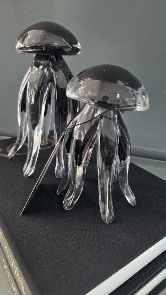 Bera Cam 2li Ahtapot Set Siyah