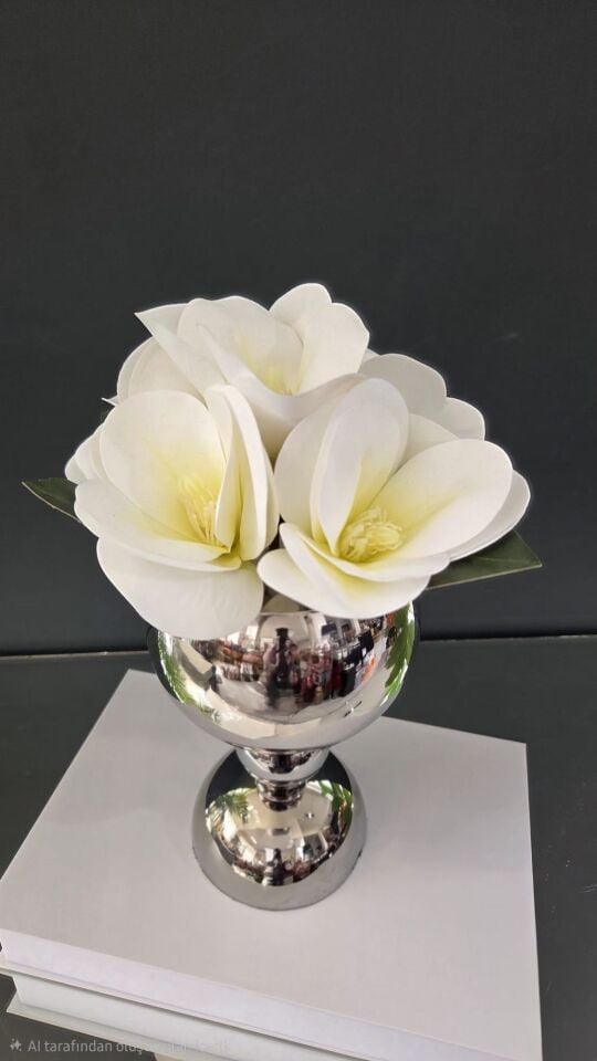 Bera Gümüş Saksı Çiçek Aranjmanı