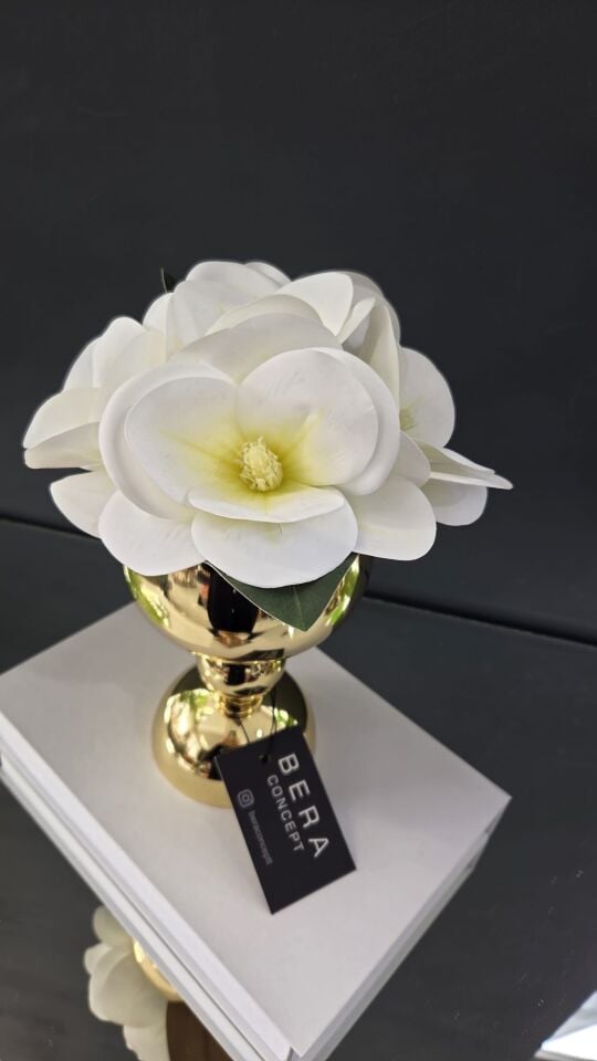 Bera Gold Saksı Çiçek Aranjmanı