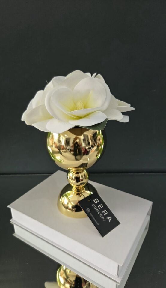 Bera Gold Saksı Çiçek Aranjmanı